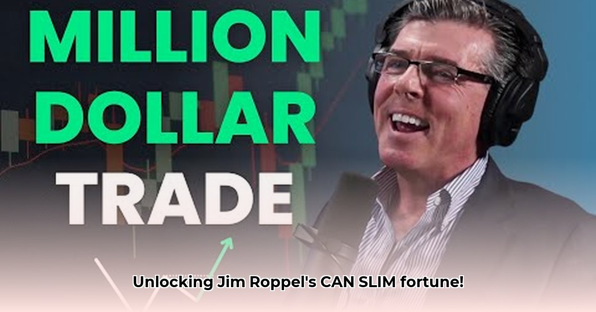 jim-roppel-net-worth